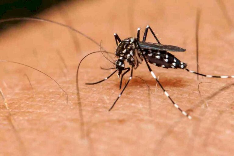 brasil-se-acerca-a-los-4-millones-de-casos-de-dengue