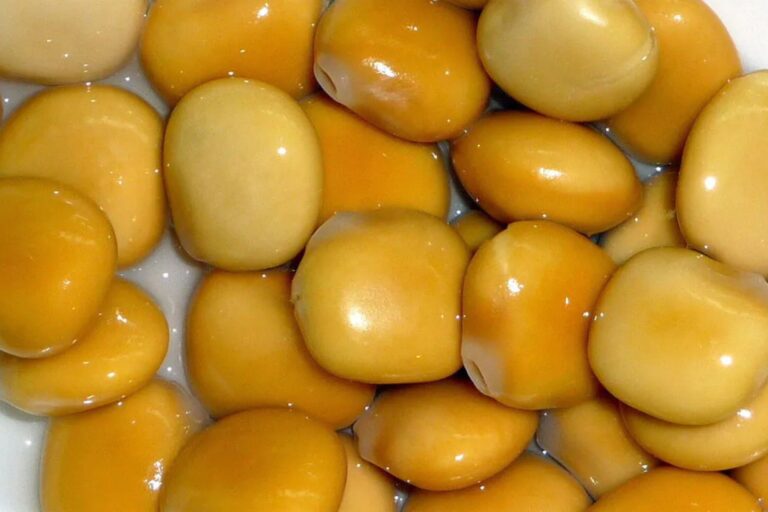 Conocé el aliado natural y muy parecido a las aceitunas que ayuda a bajar de peso