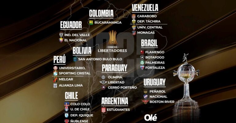 Libertadores 2025: quiénes son los 29 equipos ya clasificados