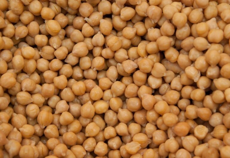 Cinco alimentos para potenciar el cerebro y la memoria, ideales para quienes estén por rendir examen
