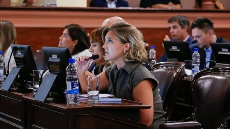 El perfil de Stefanía Cora, la cristinista que tomará el lugar de Kueider en el Senado