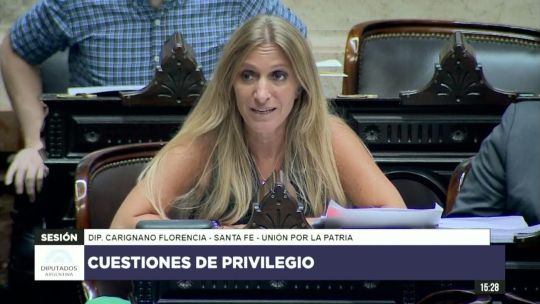 «Dopado», «gato» y «loca»: graves insultos y acusaciones de una diputada kirchnerista en la sesión