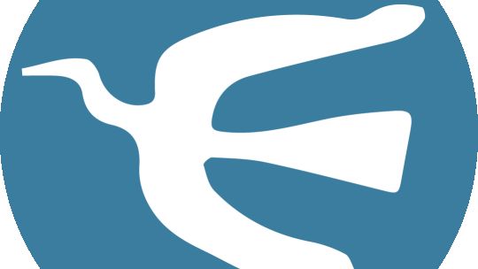 Scaloni cambia pero no afecta el funcionamiento