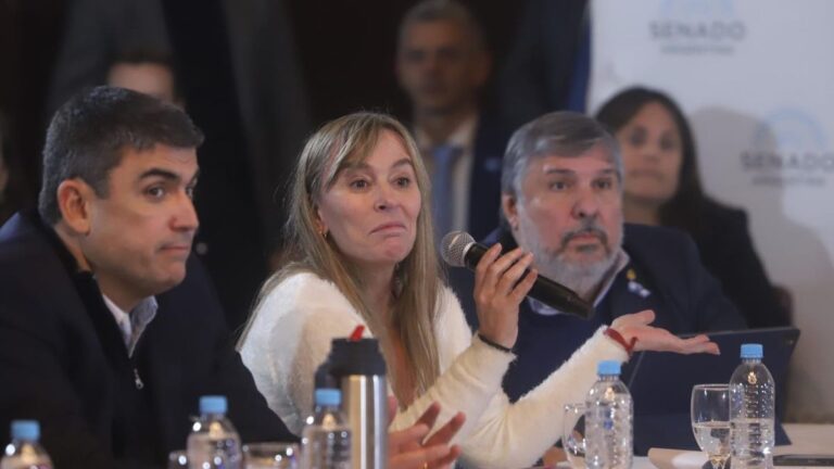 El Senado apura la sanción de la Emergencia en Discapacidad y los proyectos previsionales