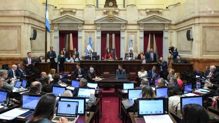 Por unanimidad, el Senado convirtió en ley la declaración de emergencia por discapacidad
