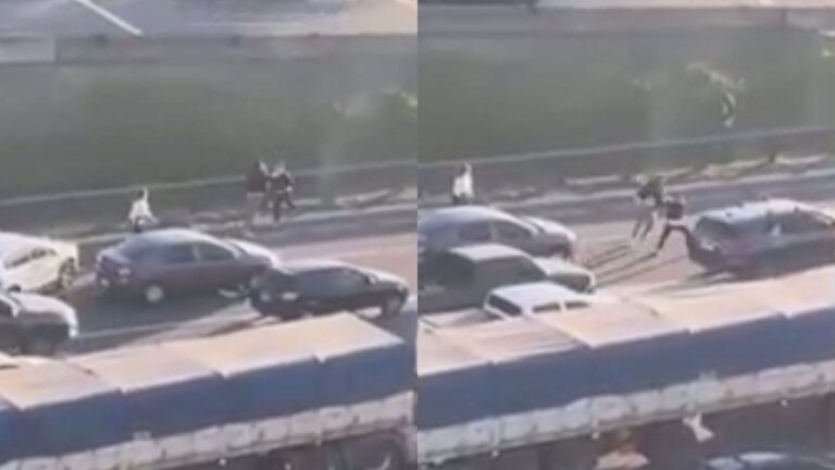 Relatos salvajes en la Panamericana: dos conductores se agarraron a las piñas en plena autopista