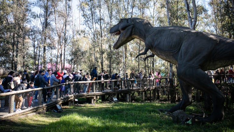 Actividades gratis para hacer en Buenos Aires en las vacaciones de invierno 2025