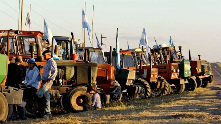 Señales al agro: Javier Milei llega con promesas y el campo aguarda por los granos