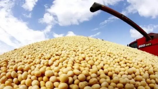Incertidumbre en las agroexportaciones: Argentina pierde participación como productora mundial de soja