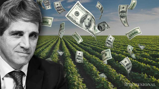 Decisivo para el dólar: pueden entrar más de u$s13.000 millones tras baja de retenciones