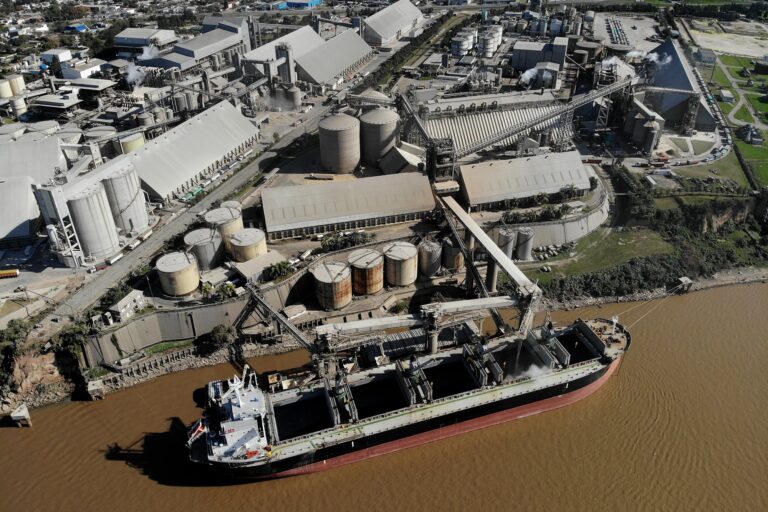 La necesidad de compras de la industria aceitera se presenta como un factor alcista en la soja