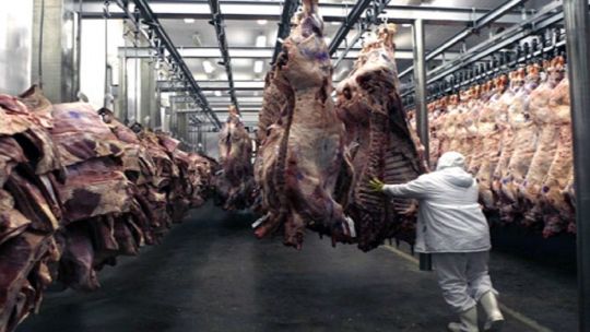El consumo de carne aumentó en junio 2025: Cuánta proteína animal consumimos?