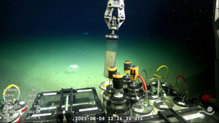 Cuándo comenzará a transmitir la próxima cámara submarina del CONICET