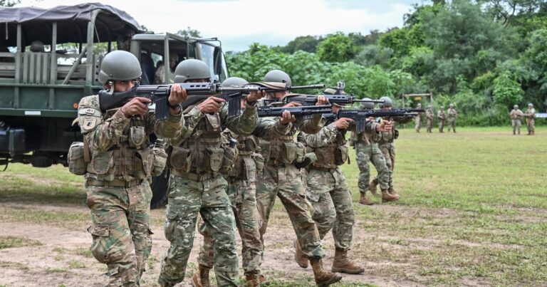 Operación Presidente Julio Argentino Roca: el Gobierno despliega Fuerzas Armadas en la frontera en el norte y noreste del país