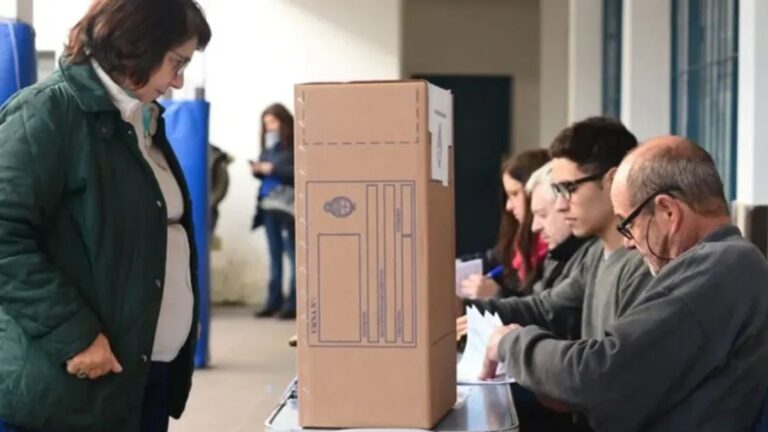 Qué se vota este domingo 7 de septiembre: todos los detalles de las elecciones legislativas bonaerenses