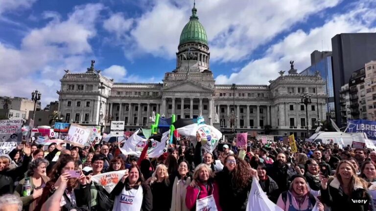 El Senado rechazó por mayoría el veto de Milei a la Ley de Emergencia en Discapacidad
