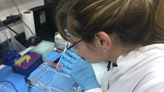 Estudio: la inversión en bienes de capital parahacer ciencia se redujo 65% en dos años