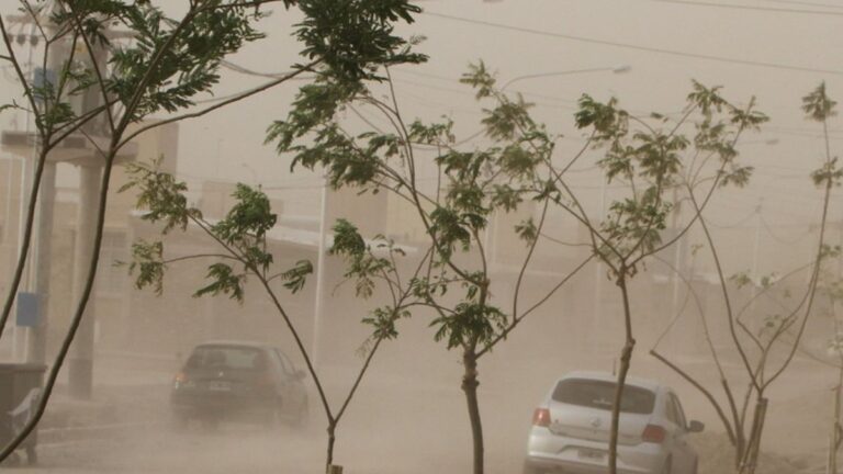 Alerta por tormentas y viento: el preocupante informe del Servicio Meteorológico Nacional para Buenos Aires