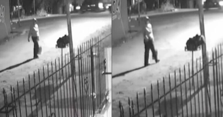 Tiraron a un bebé recién nacido en un pastizal de Quilmes y una vecina lo rescató: «No podía creer que la criatura fuera abandonada»