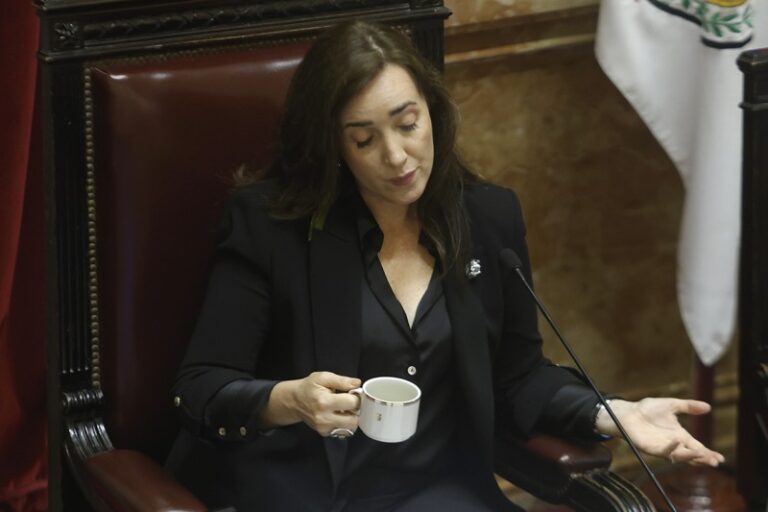 Villarruel retuiteó un mensaje donde dicen que Bullrich está gagá
