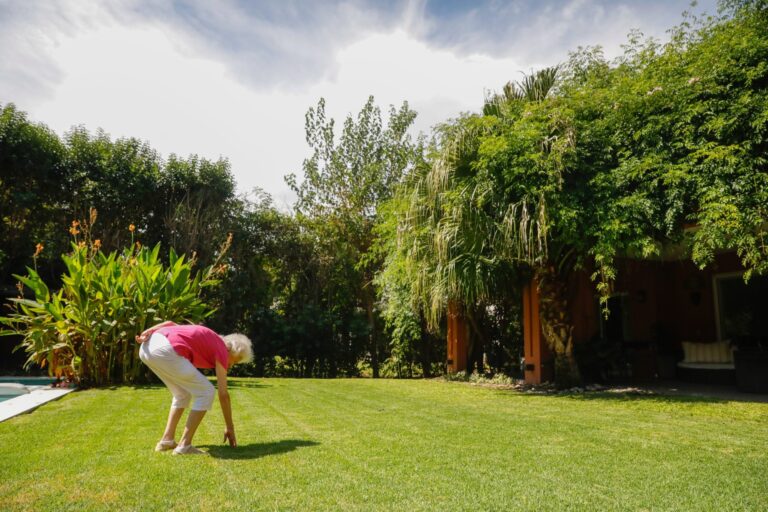Este es el alimento que no se vence, ni se pudre y sigue siendo apto para el consumo