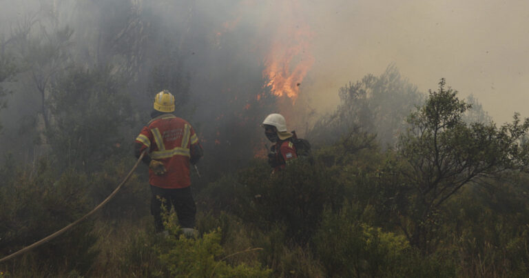 Chubut: detectaron tres nuevos focos de incendio en el parque nacional Los Alerces