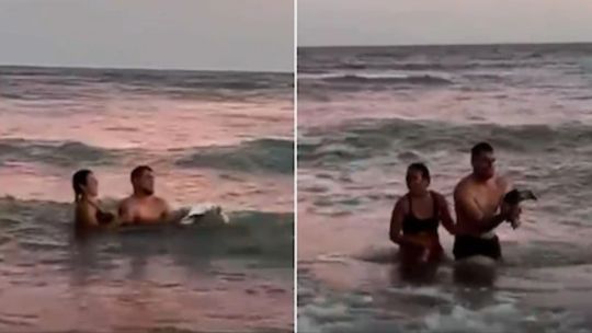 Monte Hermoso: una pareja sacó un pingüino del mar para tomarse fotografías