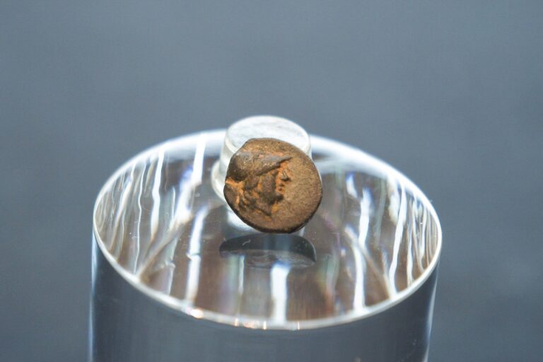 Moneda griega de bronce con la cabeza de Atenea, hallada en Berlín por un adolescente