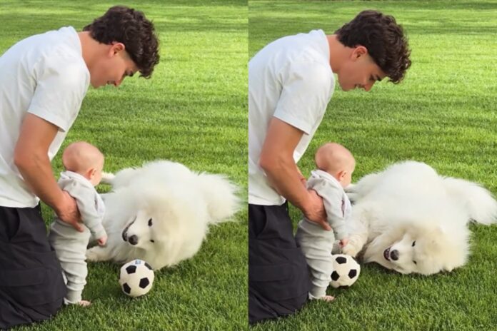 Julián Álvarez arrodillado en el césped con su hijo Amadeo y su perro samoyedo, Tarzán.