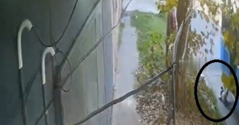 Ilustración de un colectivo de transporte público en una calle urbana