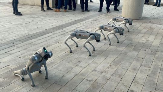 Robot cuadrúpedo similar a un perro realizando tareas de vigilancia en una instalación industrial.