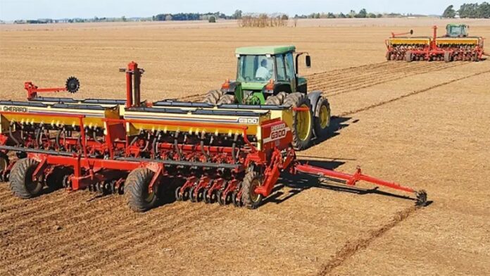 Campo de soja en la zona núcleo agrícola argentina