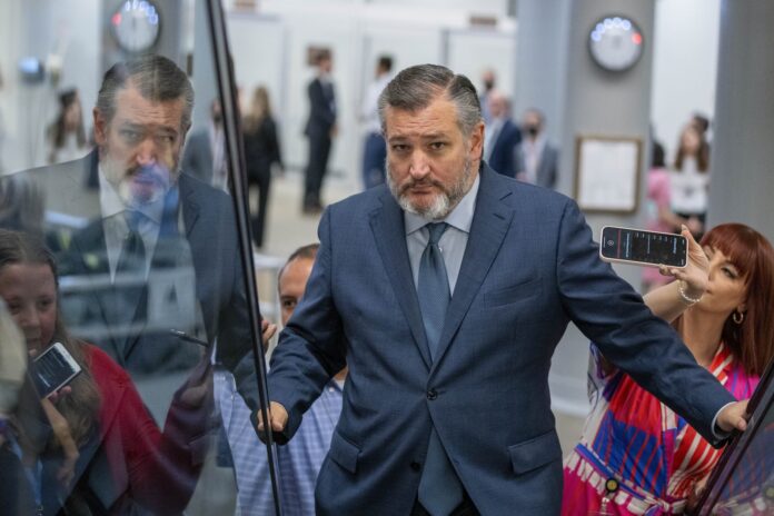 Ted Cruz, senador republicano, habla en un evento