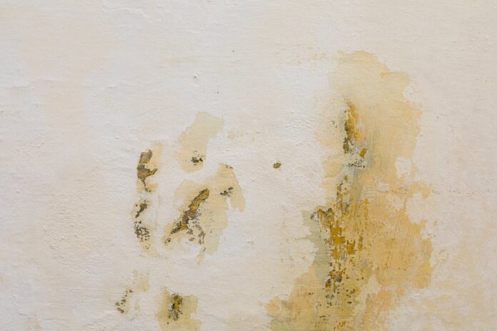 Pared con manchas de humedad y moho