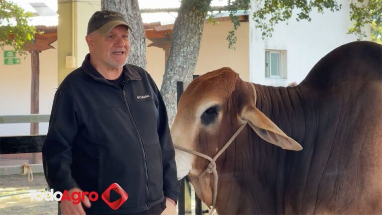 Eduardo Griffa con un ejemplar de la raza Brahman