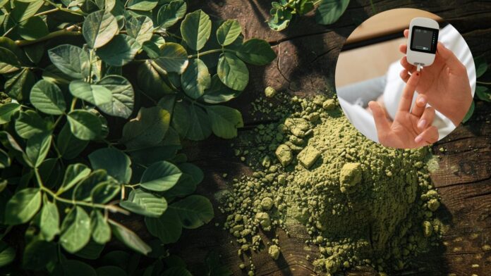 Hojas de moringa en una mesa de madera