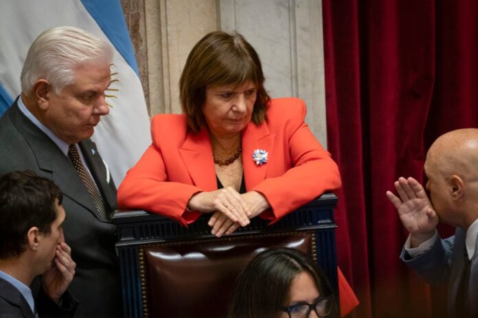 Patricia Bullrich en el Senado durante una sesión