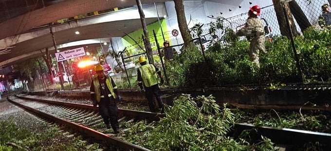 Tren Ligero El Ajolote detenido en vías por caída de rama en Xochimilco
