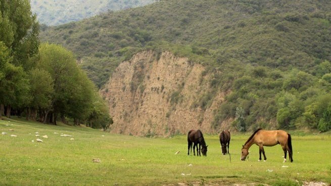 Vista panorámica de Bialet Massé, localidad serrana en el Valle de Punilla, Córdoba