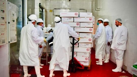 Cargamento de carne caprina chaqueña para exportación a Arabia Saudita
