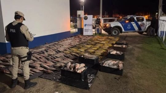 Operativo de control de la Prefectura Naval Argentina en Paranacito, con pescado decomisado