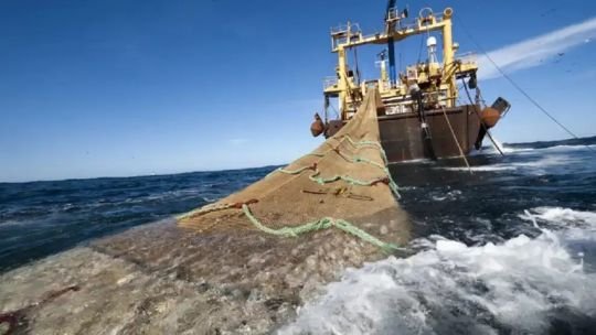 Mapa de las Islas Malvinas con zonas de pesca