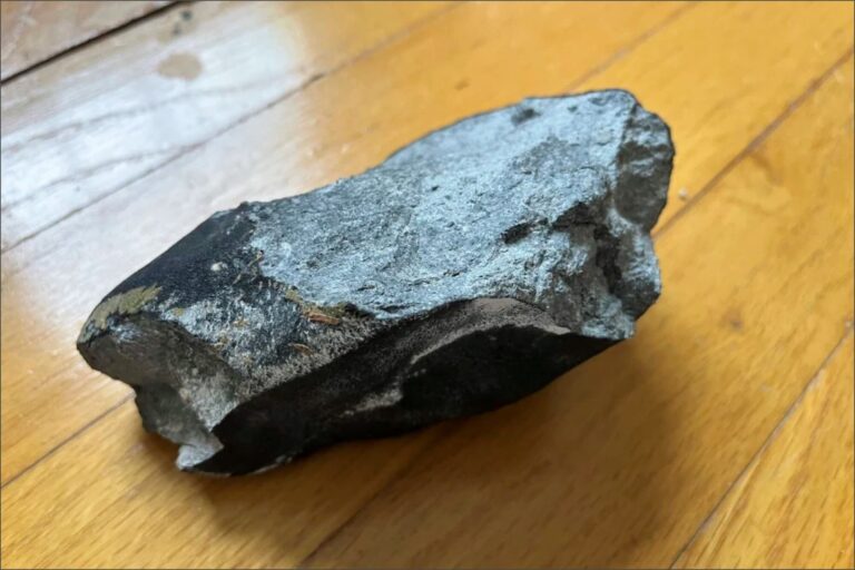Fragmento del meteorito que impactó en una casa en Nueva Jersey