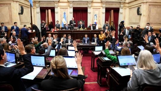 Imagen de la diputada Marcela Pagano en el Congreso