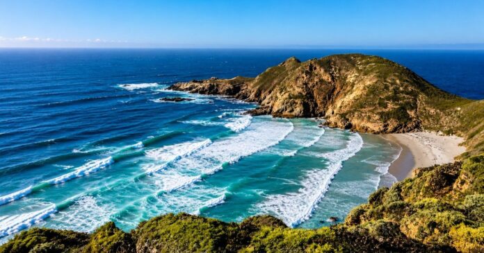 en-1977-eliminaron-los-ultimos-herbivoros-introducidos-en-la-isla-de-san-miguel-en-california Vista de la isla de San Miguel con vegetación nativa