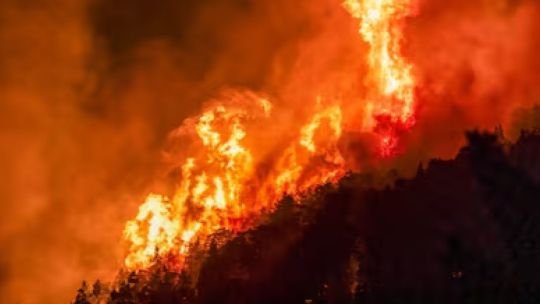Bomberos trabajando en un incendio forestal en el estado de Washington