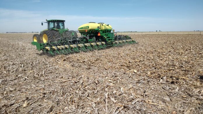 la-fertilizacion-balanceada-clave-para-altos-rindes-en-un-ano-con-muchas-lluvias Campo de cultivo con fertilización