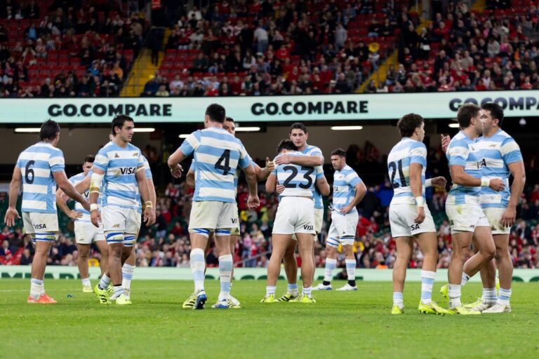 Formación de Los Pumas para el partido contra Sudáfrica