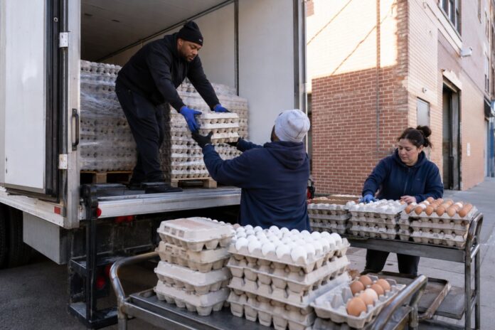 Huevos en un banco de alimentos de Nueva York