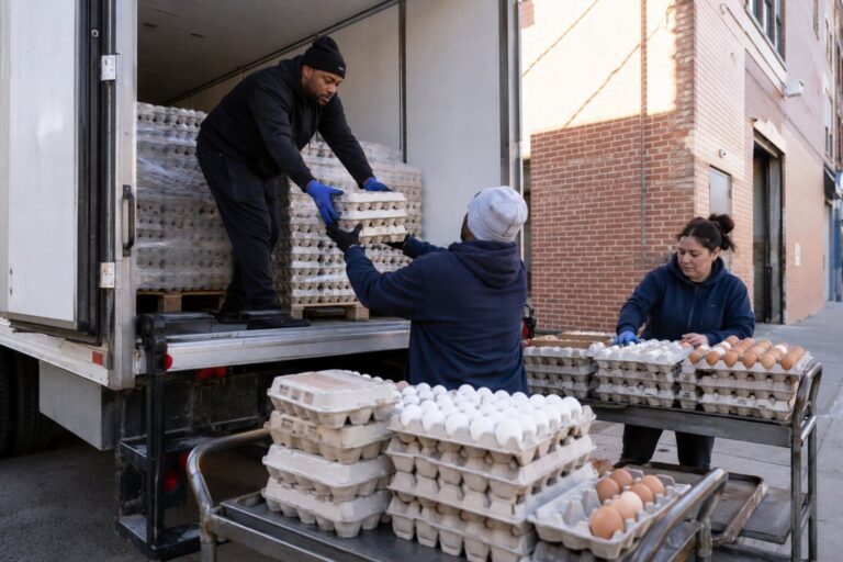 Huevos en un banco de alimentos de Nueva York